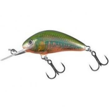 Nageur Salmo Hornet H4S Coloré