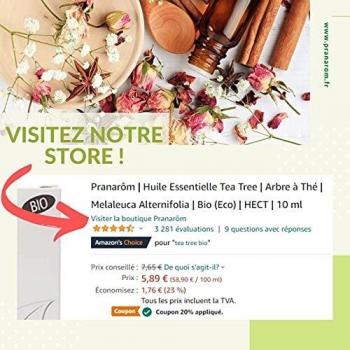 Pranarom The Bulle Wood and Glass Aroma Nebulizer