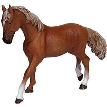 Cavallo Alezano