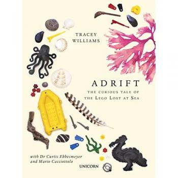 Adrift: The Curious Tale of the Lego Lost at Sea