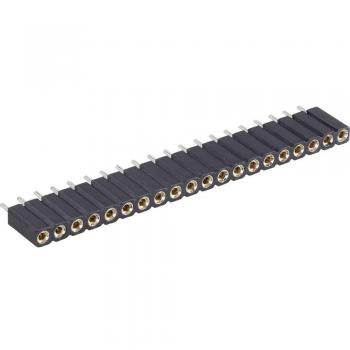 Barrette Femelle 1R 26P Bkl Electronic