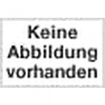 Collier en Cuir Noir avec 2 Fils et Pointes