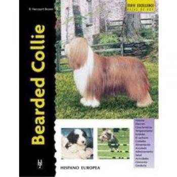 Bearded collie