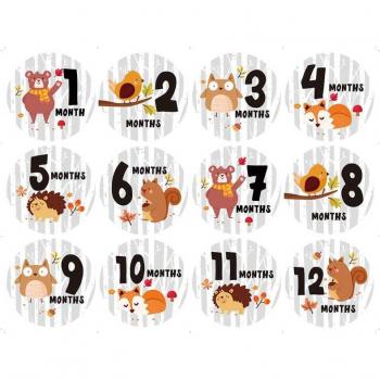 Milestone Stickers for Baby and Pregnancy Photos 1-12