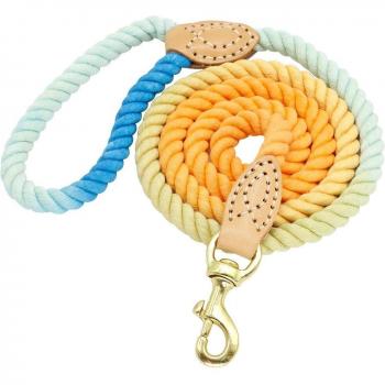 Puppy Training Leash 5ft