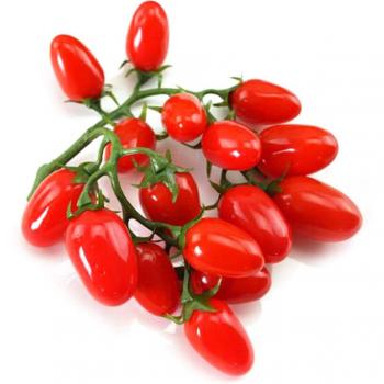 Modelo de Vegetal para Gabinete