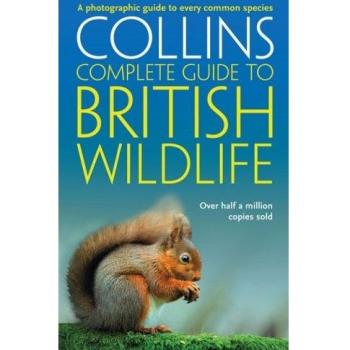 British Wildlife: A photographic guide to every common species