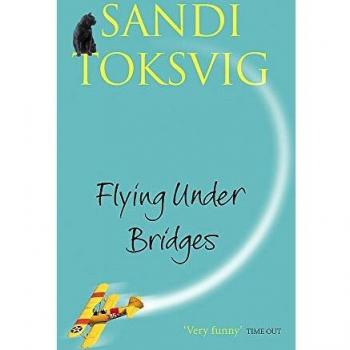 Flying Under Bridges