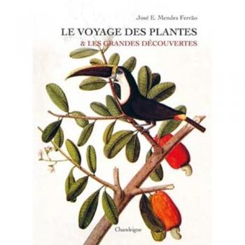Le voyage des plantes & les grandes découvertes (XVe-XVIIe siècles)
