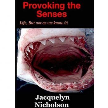 Provoking the Senses
