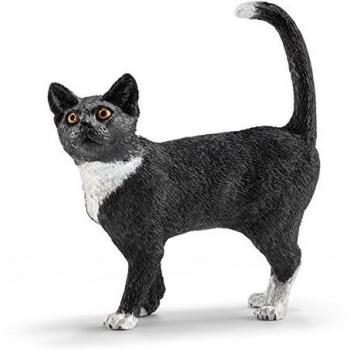 Katze stehend