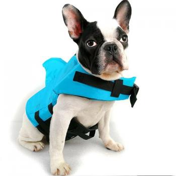 Traje de baño para perro con aleta de tiburón