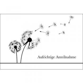 Condoglianze Merz Colibrì – Pack 12 con Busta