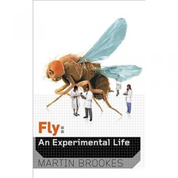 Fly: An Experimental Life