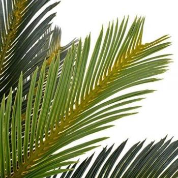 VidaXL Artificial Plant Cycas Palm with Pot Green 35.4