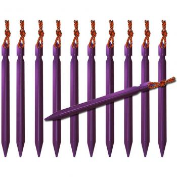 10 PCS Tent Stakes with Rope