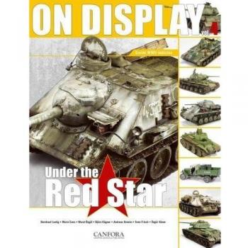 On Display NEW English Lustig Bernhard Canfora Grafisk Form Paperback  Softback