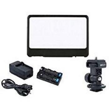 Falcon Eyes Ensemble de Lampes LED Douces Dimmables DV-80SL-K2