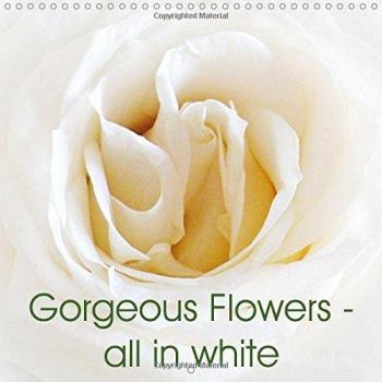 Gorgeous Flowers