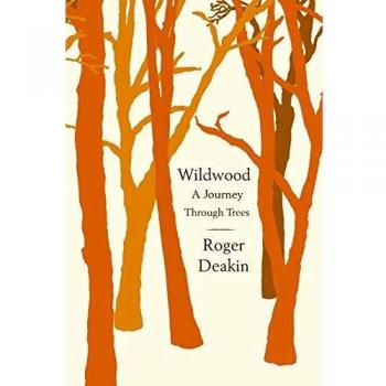 Wildwood