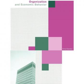 Organization and Economic Behavior