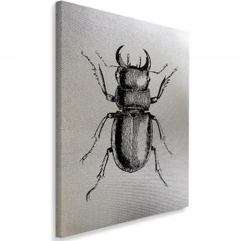 Leinwanddruck Feeby – Graue Silberskizze eines Insekts (40×60)
