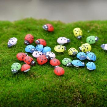 Decoración de Micro Paisajes Mini Mariquitas 100 Piezas
