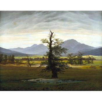 Óleo a Mano: Paisaje con Árbol Solitario – 48x39