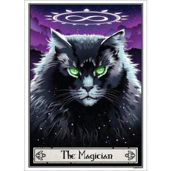 Il Mago Felis: Poster Tarocchi Mortali – Numero 2436