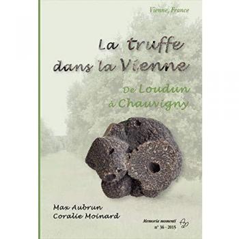 La truffe dans la vienne de loudun a chauvigny