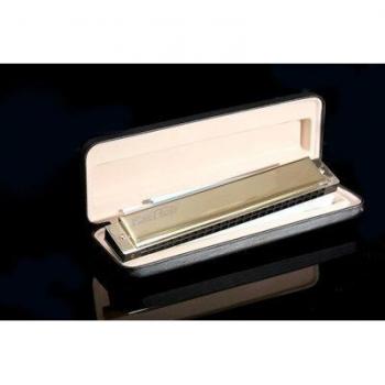 Harmonica SW1040, 10 trous, 40 tons, argent, instrument de musique