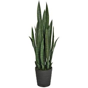 Catral Plante de langue de tigre 105 cm vert