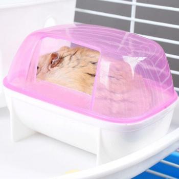 Bad Zand voor Huisdieren