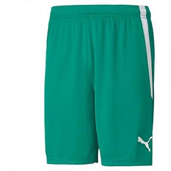 Pantaloncini Puma Team LIGA