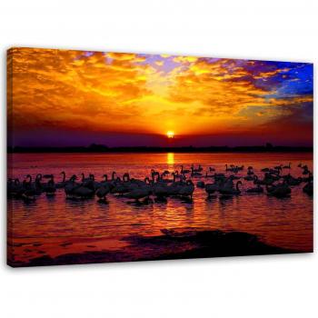 Canvas Feeby 60x40 Oro