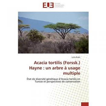 Acacia tortilis