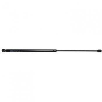 Automatic Trunk Hinge Gas Spring (BSG 70980020)