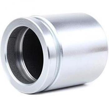 AUTOFREN SEINSA Brake Caliper Piston D02520