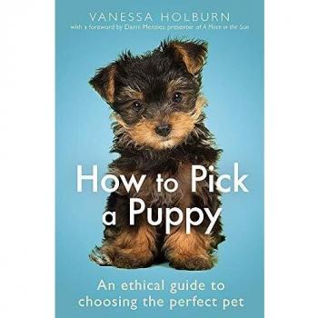 How To Pick a Puppy