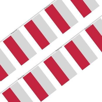 Celebration Flag Garland – 20 Units – 14x21 cm – Durable Polyester – Double‑Side Design