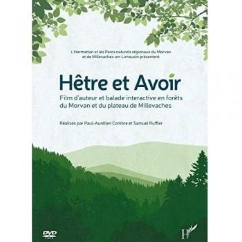 Hêtre Et Avoir