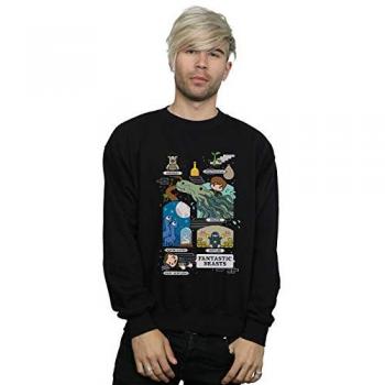 Fantastic Beasts Men's Chibi Newt Sweatshirt