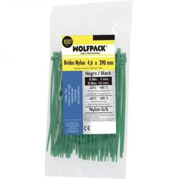 Brosse de Nettoyage Acier Laiton 25 cm