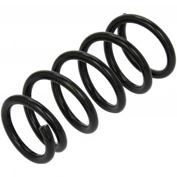 Genuine Lesjofers 4235733 Rear Coil Spring Replacement