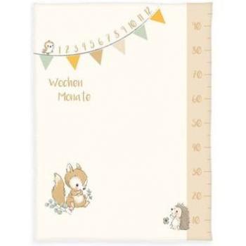 Baby Best Babydecke Microfaserflausch Waldfreunde Meilenstein 75x100 cm