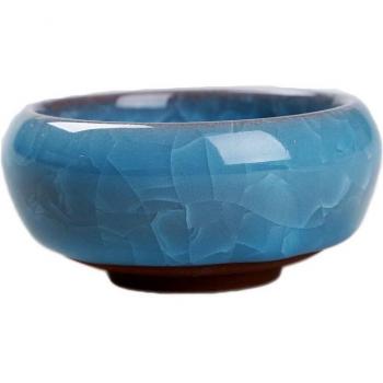 Succulent Flower Plant Pot