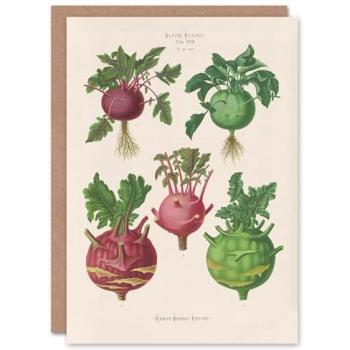 Artery8 White Vegetable Variety Set