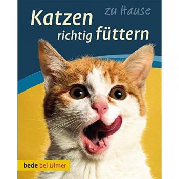Anna Laukner Katzen Richtig Füttern: Gesund