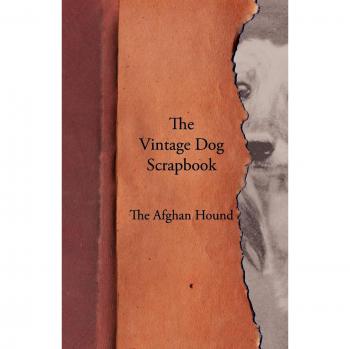 The Vintage Dog Scrapbook