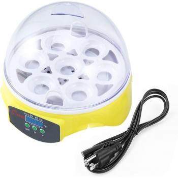 Compact 7-Egg Incubator for Chickens and Ducks
